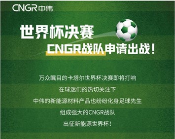 世界杯決賽 | CNGR戰(zhàn)隊申請出戰(zhàn)！